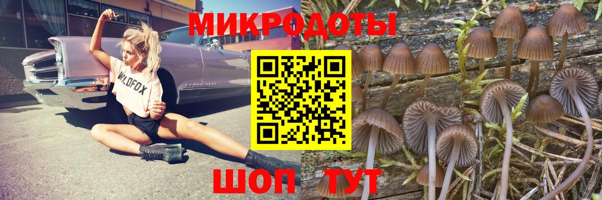 Петропавловск-Камчатский  Псилоцибиновые грибы Psilocybe  Вход с VPN 