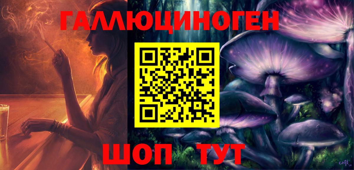 Галлюциногенные грибы Psilocybe Петропавловск-Камчатский